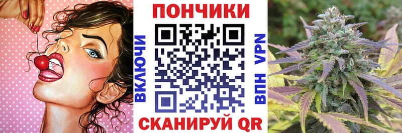 Бошки марихуана сатива  купить наркотик  shop какой сайт  Агрыз 